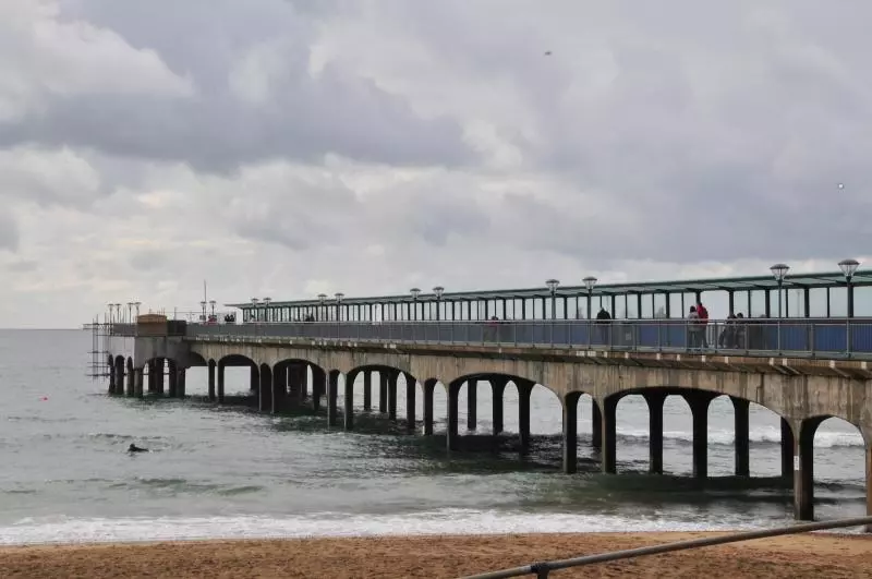 Dorset (c) Alesia Belaya
